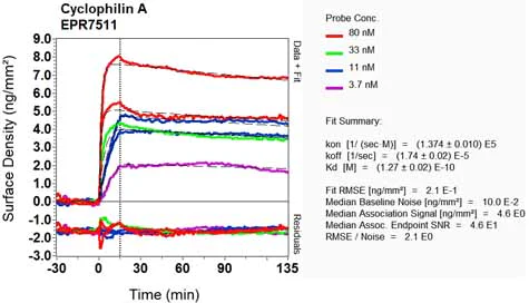 OI-RD Scanning - Anti-Cyclophilin A antibody [EPR7511] - BSA and Azide free (AB248157)