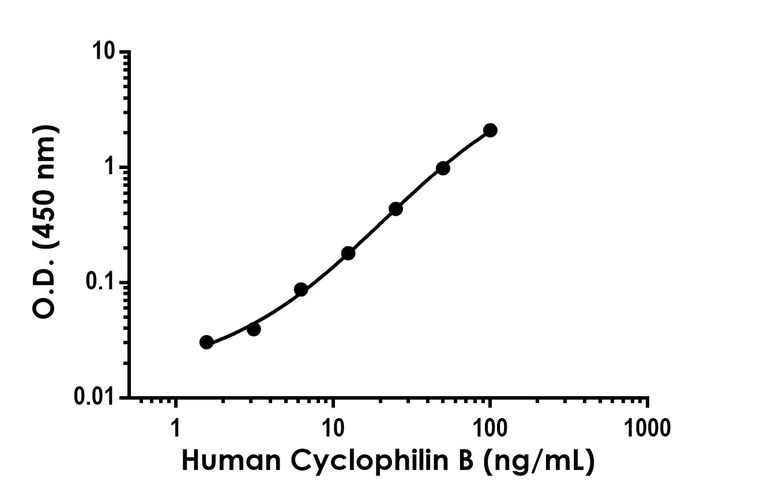 Sandwich ELISA - Anti-Cyclophilin B antibody [EPR25822-120] - BSA and Azide free (Detector) (AB307110)