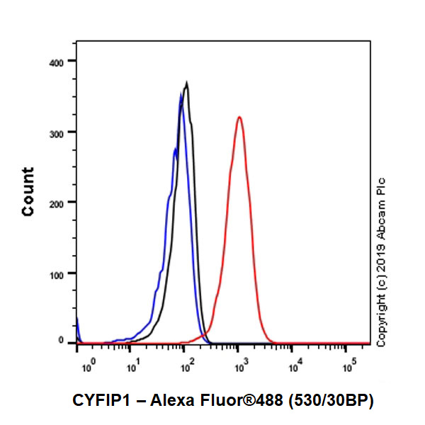 Flow Cytometry (Intracellular) - Anti-CYFIP1 antibody [EPR10782] (AB156016)