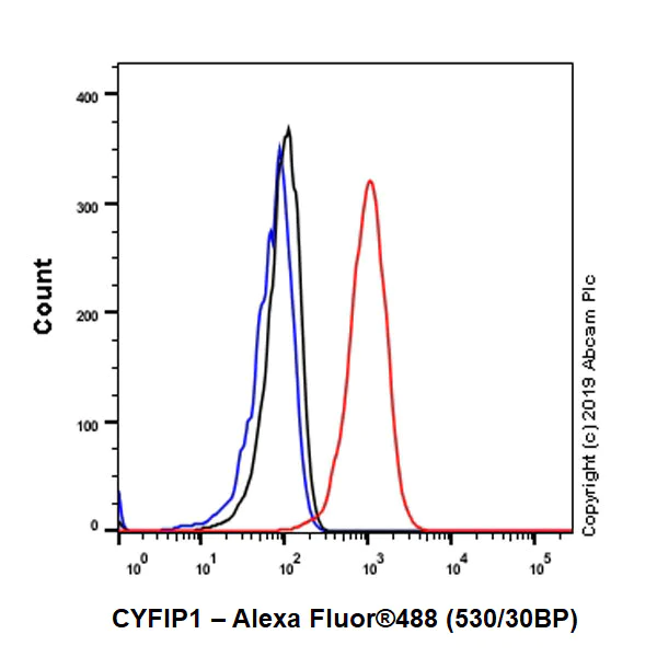 Flow Cytometry (Intracellular) - Anti-CYFIP1 antibody [EPR10782] - BSA and Azide free (AB249255)