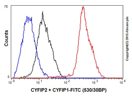 Flow Cytometry (Intracellular) - Anti-CYFIP2 + CYFIP1 antibody [EPR17848-87] (ab204129), expandable thumbnail