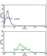 Flow Cytometry (Intracellular) - Anti-CYP21A2 antibody (AB230327)
