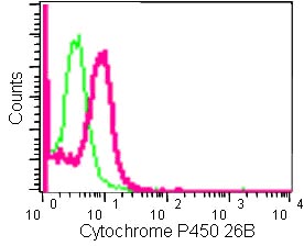 Flow Cytometry (Intracellular) - Anti-Cyp26B1 antibody [EPR13182] (AB182162)