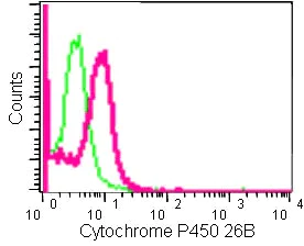 Flow Cytometry (Intracellular) - Anti-Cyp26B1 antibody [EPR13182] (AB182162)