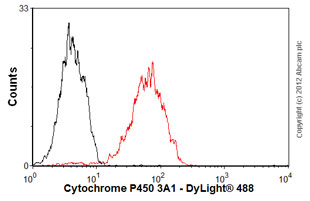 Anti-Cyp3a1 antibody [P6]