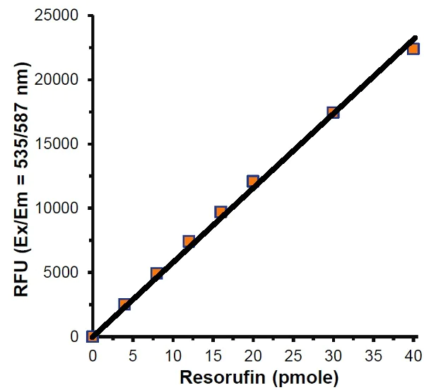 Functional Studies - CYP3A4 Activity Assay Kit (Fluorometric) (AB211076)