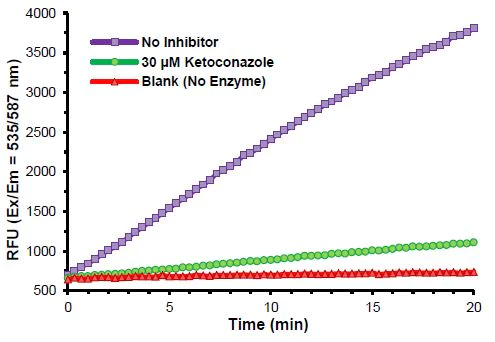 Functional Studies - CYP3A4 Activity Assay Kit (Fluorometric) (AB211076)