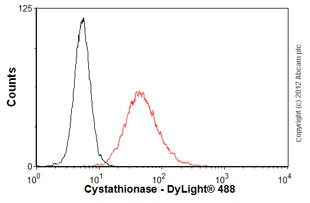 Flow Cytometry - Anti-Cystathionase/CTH antibody [2E12-1C10] (AB54573)