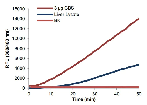 Functional Studies - Cystathionine beta Synthase Assay Kit (AB241043)