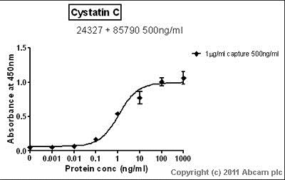 Sandwich ELISA - Anti-Cystatin C antibody (AB85790)