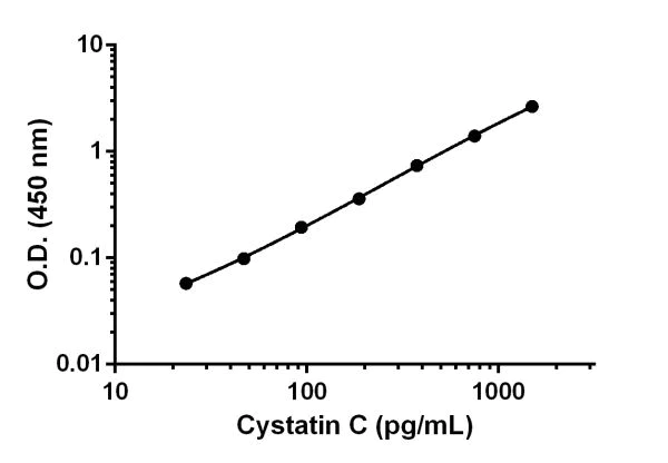 Sandwich ELISA - Anti-Cystatin C antibody [EPR17639-132] - BSA and Azide free (Detector) (AB242743)