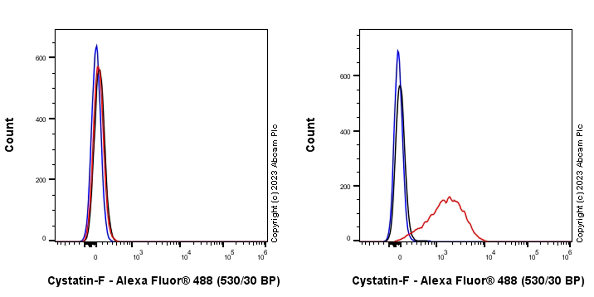 Flow Cytometry (Intracellular) - Anti-Cystatin F antibody [EPR28408-30] (AB309544), expandable thumbnail