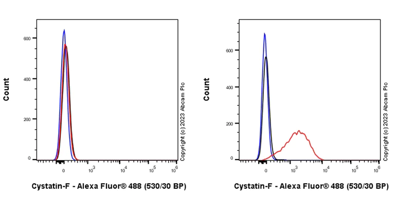 Flow Cytometry (Intracellular) - Anti-Cystatin F antibody [EPR28408-30] - BSA and Azide free (AB309545)