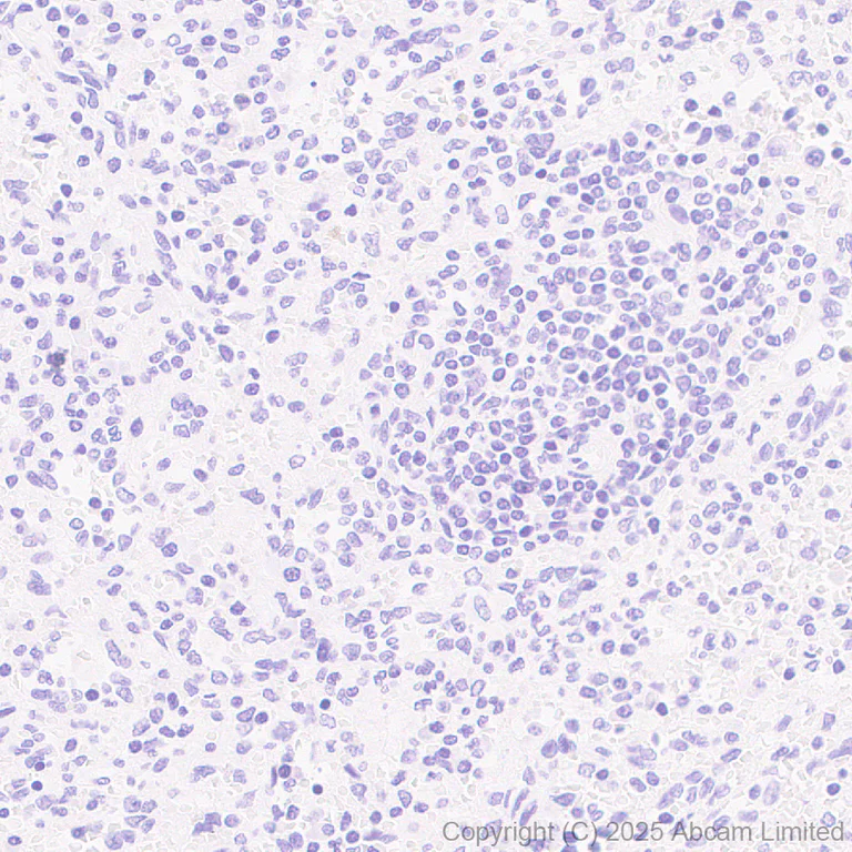 Immunohistochemistry (Formalin/PFA-fixed paraffin-embedded sections) - Anti-Cystatin SA/CST2 antibody [EPR25934-14] (AB325126)