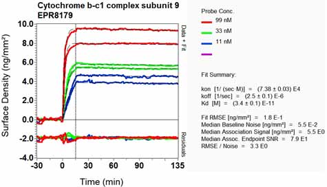 OI-RD Scanning - Anti-Cytochrome b-c1 complex subunit 9/UQCR10 antibody [EPR8179] - BSA and Azide free (AB248722), expandable thumbnail