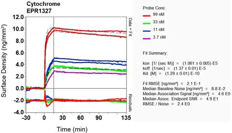 OI-RD Scanning - Anti-Cytochrome C antibody [EPR1327] (AB133504)