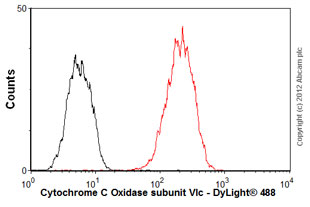Flow Cytometry - Anti-Cytochrome C Oxidase subunit VIc/COX6C antibody [3G5F7G3] (AB110267), expandable thumbnail