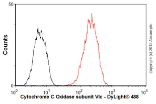 Flow Cytometry - Anti-Cytochrome C Oxidase subunit VIc/COX6C antibody [3G5F7G3] (AB110267)
