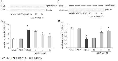 Functional Studies - Cytochrome c Release Assay Kit (AB65311), expandable thumbnail