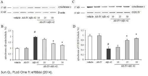 Functional Studies - Cytochrome c Release Assay Kit (AB65311)