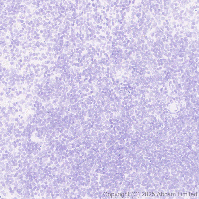 Immunohistochemistry (Formalin/PFA-fixed paraffin-embedded sections) - Anti-Cytochrome P450 2E1 antibody [EPR28698-543] - BSA and Azide free (AB325963)