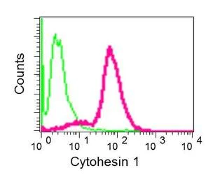 Flow Cytometry (Intracellular) - Anti-Cytohesin 1 antibody [EPR10051] - BSA and Azide free (AB249049)