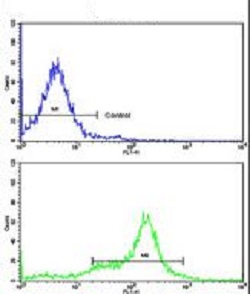 Flow Cytometry (Intracellular) - Anti-Cytokeratin 10 antibody (AB230801)