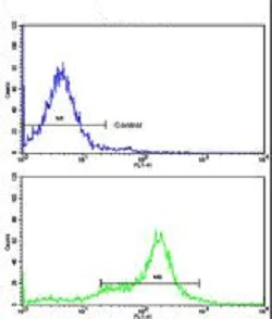 Flow Cytometry (Intracellular) - Anti-Cytokeratin 10 antibody (AB230801)
