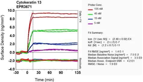 OI-RD Scanning - Anti-Cytokeratin 13 antibody [EPR3671] (AB92551)