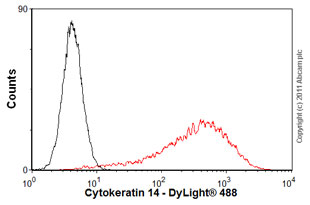 Flow Cytometry (Intracellular) - Anti-Cytokeratin 14 antibody [EP1612Y] - BSA and Azide free (ab243907), expandable thumbnail