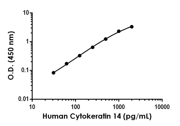Sandwich ELISA - Anti-Cytokeratin 14 antibody [EPR20367-205] - BSA and Azide free (Detector) (AB242900)