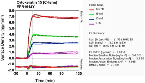 OI-RD Scanning - Anti-Cytokeratin 15 antibody [EPR1614Y] (AB52816)