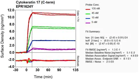 OI-RD Scanning - Anti-Cytokeratin 17 antibody [EPR1624Y] - BSA and Azide free (AB238953)