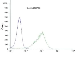 Flow Cytometry (Intracellular) - Anti-Cytokeratin 17 antibody [SP95] - BSA and Azide free (AB238808)