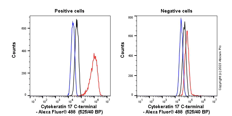 Flow Cytometry (Intracellular) - Anti-Cytokeratin 17 antibody [SP95] - BSA and Azide free (AB238808)