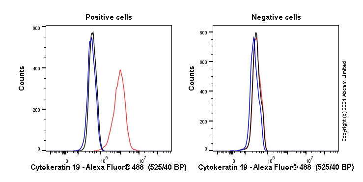 Flow Cytometry (Intracellular) - Anti-Cytokeratin 19 antibody [EP1580Y] - BSA and Azide free (ab195872), expandable thumbnail