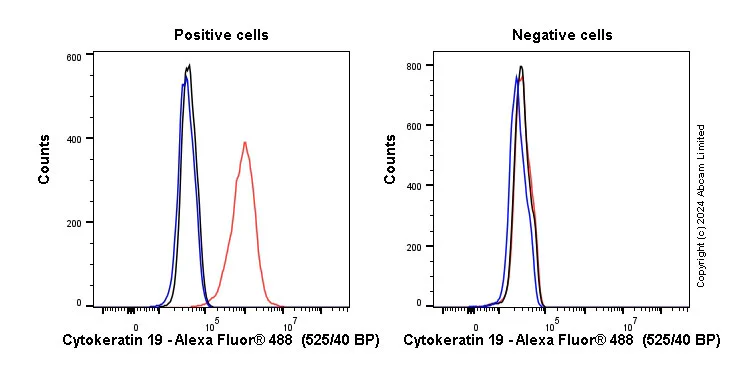Flow Cytometry (Intracellular) - Anti-Cytokeratin 19 antibody [EP1580Y] - BSA and Azide free (AB195872)
