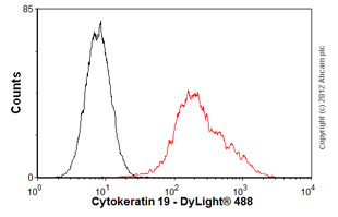 Flow Cytometry (Intracellular) - Anti-Cytokeratin 19 antibody [EP1580Y] - BSA and Azide free (ab195872), expandable thumbnail