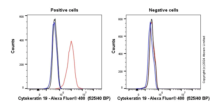Flow Cytometry (Intracellular) - Anti-Cytokeratin 19 antibody [EP1580Y] - Cytoskeleton Marker (AB52625)