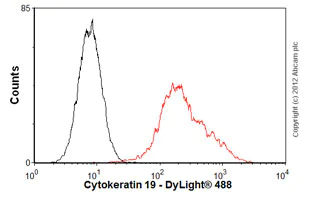 Flow Cytometry (Intracellular) - Anti-Cytokeratin 19 antibody [EP1580Y] - Cytoskeleton Marker (AB52625)