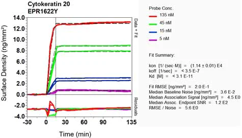 OI-RD Scanning - Anti-Cytokeratin 20 antibody [EPR1622Y] - BSA and Azide free (AB219589)