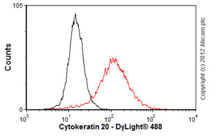 Flow Cytometry - Anti-Cytokeratin 20 antibody [Ks20.8] (AB854), expandable thumbnail
