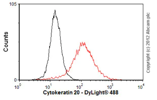 Flow Cytometry - Anti-Cytokeratin 20 antibody [Ks20.8] (AB854)