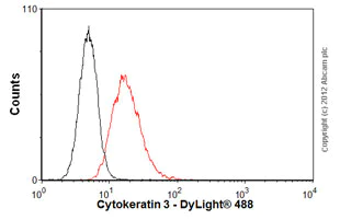 Flow Cytometry (Intracellular) - Anti-Cytokeratin 3/CK-3 antibody [AE5] (AB77869)