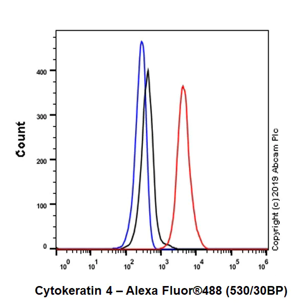 Flow Cytometry (Intracellular) - Anti-Cytokeratin 4 antibody [EP1599Y] - BSA and Azide free (AB247316)