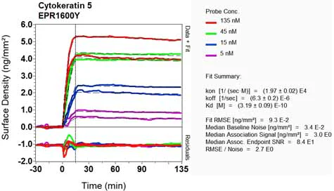 OI-RD Scanning - Anti-Cytokeratin 5 antibody [EPR1600Y] - BSA and Azide free (AB239869)
