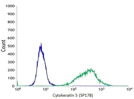 Flow Cytometry (Intracellular) - Anti-Cytokeratin 5 antibody [SP178] - BSA and Azide free (AB243922)