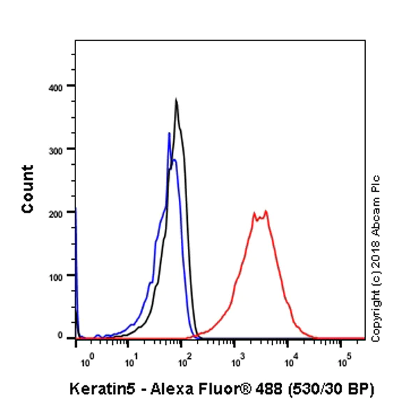 Flow Cytometry (Intracellular) - Anti-Cytokeratin 5 antibody [SP178] - BSA and Azide free (AB243922)
