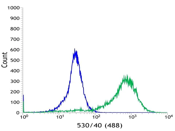Flow Cytometry (Intracellular) - Anti-Cytokeratin 5 antibody [SP27] (AB64081)