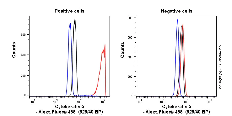 Flow Cytometry (Intracellular) - Anti-Cytokeratin 5 antibody [SP27] - BSA and Azide free (AB236216)